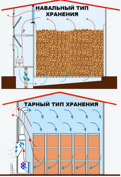 Навальный и тарный типы хранения овощей Оборудование для овощехранилища купить