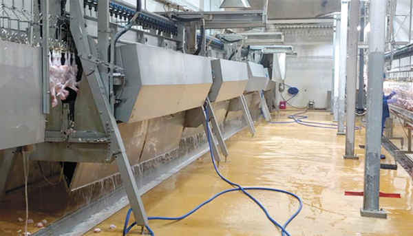 Цех обесперивания Цех обесперивания